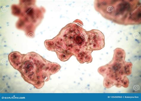 Brain Eating Amoeba Infection Naegleriasis Stock Illustration