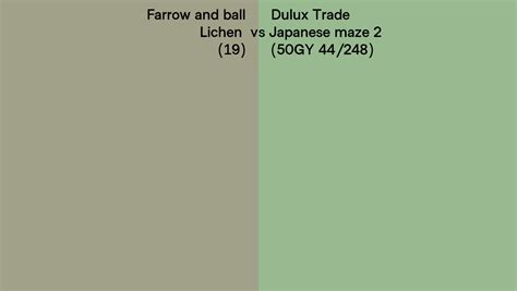 Farrow And Ball Lichen 19 Vs Dulux Trade Japanese Maze 2 50gy 44248 Side By Side Comparison