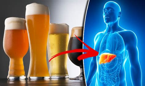 Liver Damage This Diet Will Help Reverse The Negative Effects Of