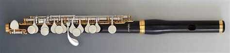 Buy Bulgheroni 601 Piccolo Online At 7225 Flute World