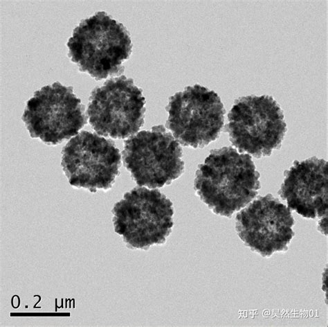 Tem图 中空介孔fe3o4 粒径200nm 介孔四氧化三铁纳米材料 知乎