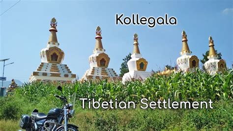 Kollegal Tibetian Settlement Monastery Dhondenling Odeyarpalya Ride