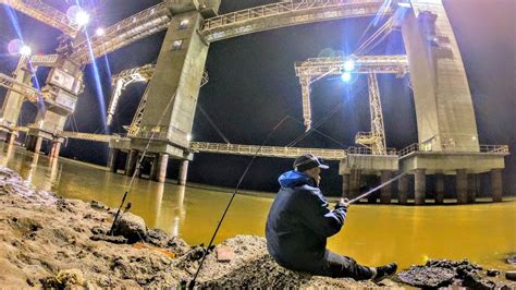 Pesca En El Cebadero De Noche Pesca De Grandes Bagres En El Mejor