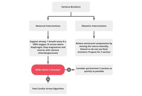 Acls In Hospital Cardiac Arrest In Pregnancy Algorithm Acls Medical