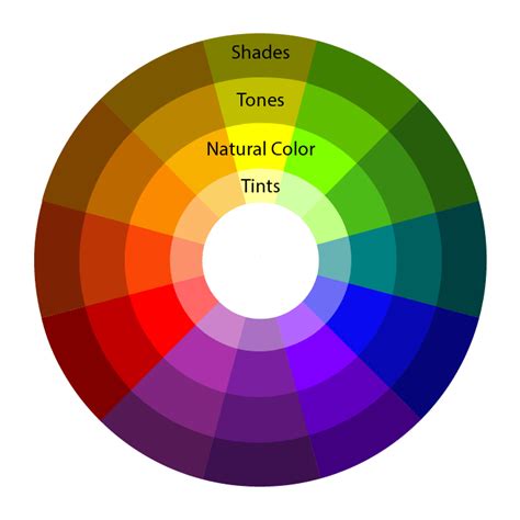 Color Theory 101 Using Color Schemes To Pick The Best Palette For Your