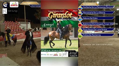 Exposición Equina Grado A Girardot 2023 Día 3 YouTube