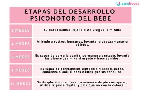 Etapas Del Desarrollo Psicomotor Del Beb Con Tabla Etapas Del