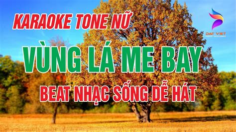 Karaoke V Ng L Me Bay Nh C S Ng Tone N D H T Karaoke T Vi T