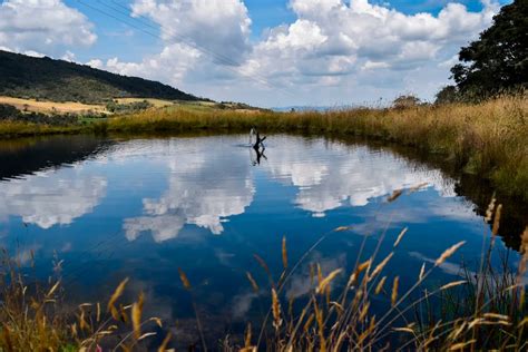 El Agua Está Bajo Amenaza Por El Cambio Climático Consejos Para Cuidar Un Recurso Escaso Infobae