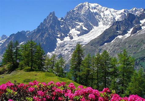 N D Shimla Manali Package By Cab Blooming Himalaya