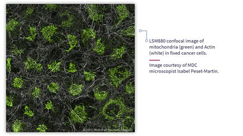 Advanced Microscopy At Medicines Discovery Catapult