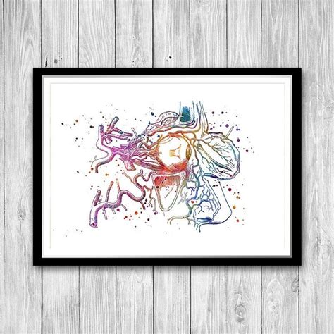 Human Eye Anatomy Art Watercolor Print Optician Poster Optometry Wall