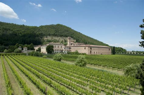 Cantina Abbazia Di Praglia