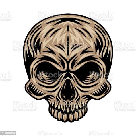 Vintage Retro Human Skull Isolated Vector Illustration On A White Background Design Element