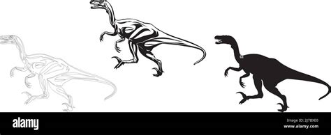 Velociraptor Dinosaur Realistic Image Vector Positions Illustration Black And White