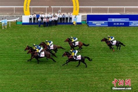 香港賽馬會從化馬場2019年擬舉辦非博彩示範賽 每日頭條