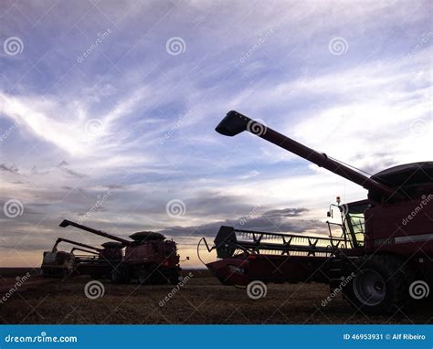 Harvest Soybean Editorial Photo Image Of America Harvesting 46953931