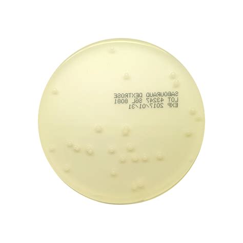 Sabouraud Dextrose Agar, 90mm Plate - Southern Group Laboratory