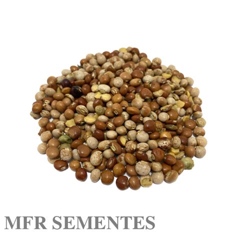 Feijao Guandu Fava Larga 5kg De Sementes Para Plantio