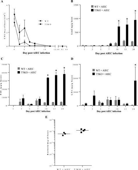 T5ko Mice Infected With Adherent Invasive Escherichia Coli Aiec Download Scientific Diagram