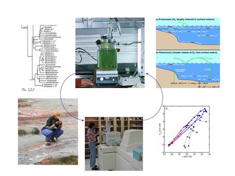 The Summons Lab • Geobiology and Astrobiology at MIT » Geobiology