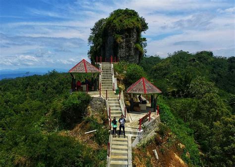 Rute Dan Harga Tiket Masuk Kebun Teh Nglinggo Samigaluh Kulon Progo