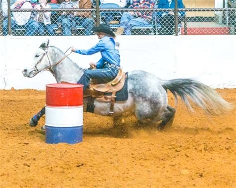 Barrel Racer At Fort Worth Stock Show Rodeo Fort Worth Stock Show