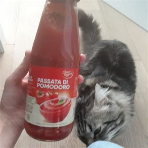 Spesa Leggera Passata Di Pomodoro Reviews Abillion