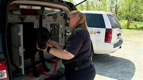 State Fire Marshal Utilizing Department`s First K 9 Arson Investigator Youtube