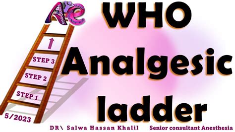 WHO Analgesic Ladder What Is Pain Pain Assessment Scales Steps For