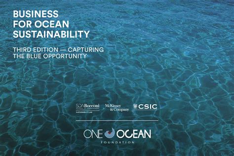 One Ocean Foundation Releases The Third Edition Of The Report “business For Ocean Sustainability