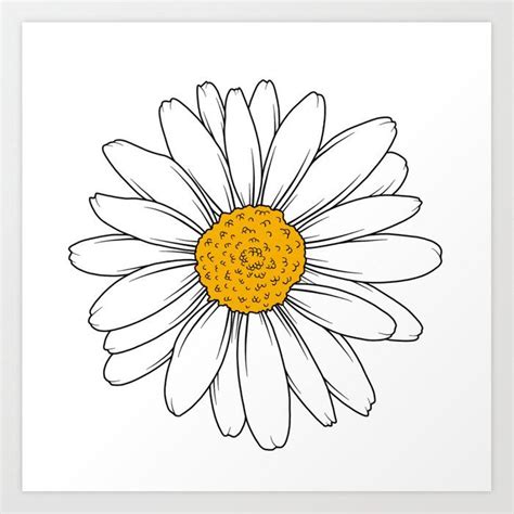 Simple Daisy Line Drawing - Drawing.rjuuc.edu.np