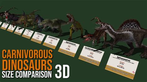 Carnivorous Dinosaurs Size Chart