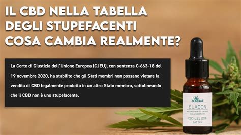 Chiacchiere Riguardo Al Nuovo Decreto Contro Il Cbd Cannabidiolo