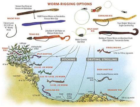 The Smallmouth Worm Is A Different Animal In Fisherman Trout