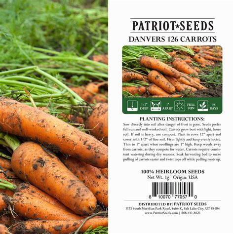 Carrots: Danvers 126 (1g)- Heirloom, Non-GMO Seeds - My Patriot Supply