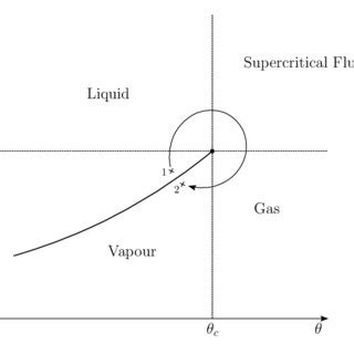 The Phase Diagram Near The Liquid Vapour Critical Point The