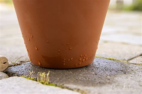 Diy Ollas Selber Bauen Weniger Gie En Vom Landleben