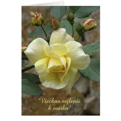 Name Day Card In Czech Zazzle