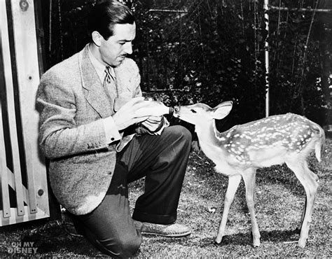 Oh My Disney Celebrates Bambi Anniversary - LaughingPlace.com