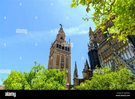 Giralda Bell Tower And Almohade Section Of Historic Cathedral Of