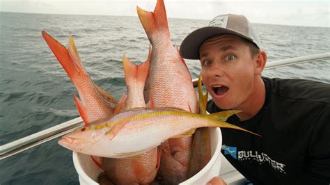 How To Catch Colorful Reef Fish Snapper Fishing Youtube