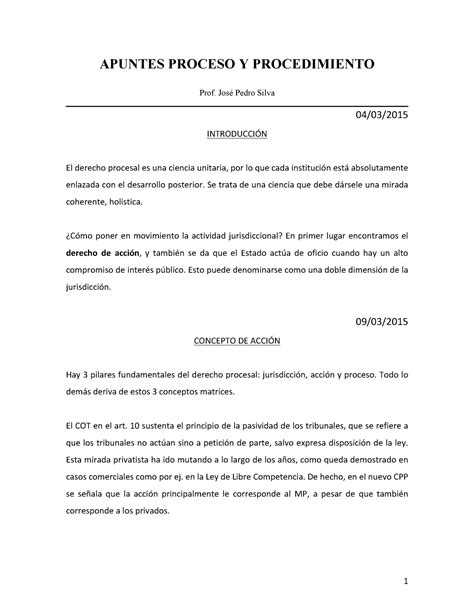 Apuntes Procesal II APUNTES PROCESO Y PROCEDIMIENTO Prof Pedro Silva