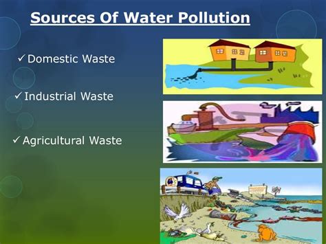 Effects of water pollution on living organisms