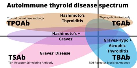 The Spectrum Of Thyroid Autoimmunity Thyroid Patients Canada