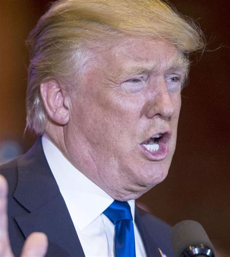 The 100 Greatest Descriptions Of Donald Trump S Hair Ever Written Nation And World News