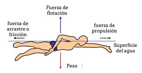 Técnica de crol en natación 6 claves que debes saber