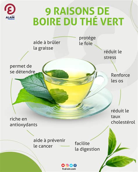 9 RAISONS DE BOIRE DU THÉ VERT