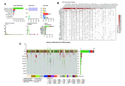 Single Nucleotide Variation SNV Analysis In Senescence Genes A