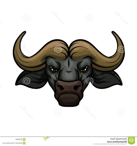 Buffalo Head Vector at GetDrawings | Free download